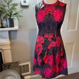 Nanette Laporte dress size 6